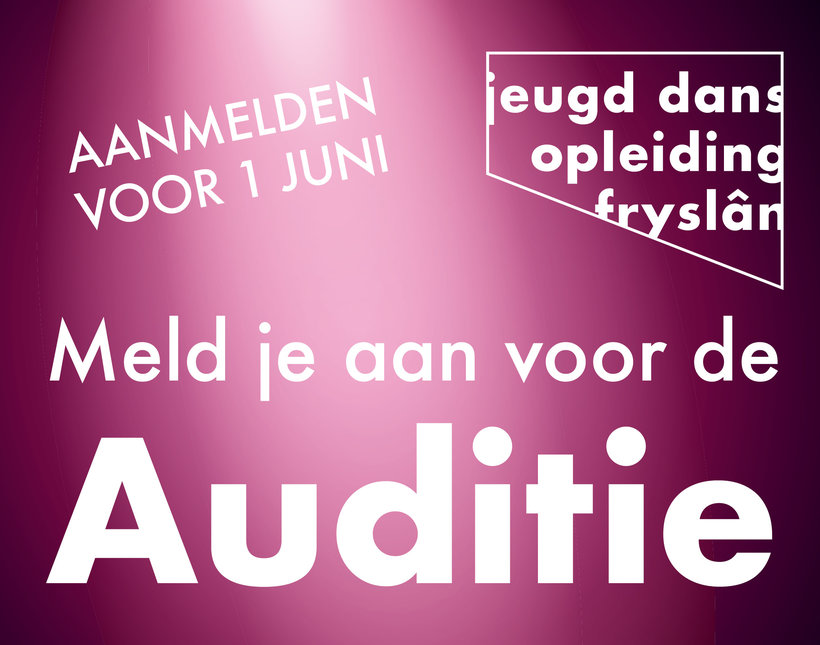 auditie opmaak2.jpg 